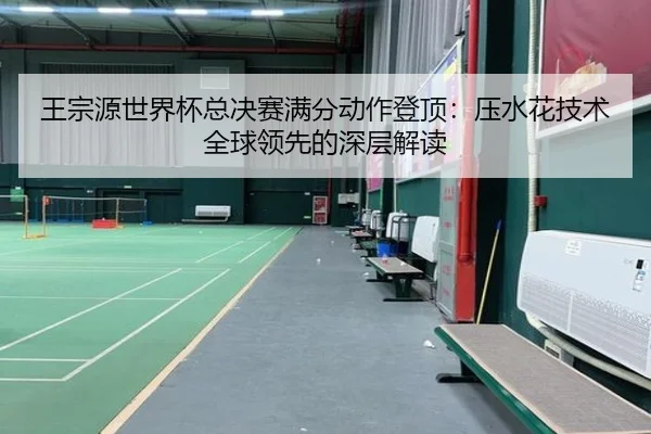 王宗源世界杯总决赛满分动作登顶：压水花技术全球领先的深层解读